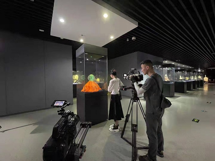 《忽如一夜春风来》