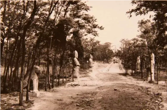 从布衣到异姓王：考古揭秘大明功臣汤和的传奇人生